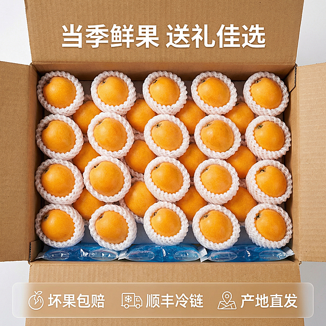 [主图 5] 服务与转化
[主图主题] 整箱发货展示与服务承诺
[氛围/风格] 整洁大气，品质可靠，无人像
[画面元素] 打开的快递保温箱里，整齐码放着一颗颗套好网套的云霄早钟枇杷，底部铺着保鲜冰袋，展示完整的发货状态，果实新鲜完好，包装干净卫生
[配色色系] 主色调：枇杷橙黄，纸箱原色；辅助色：冰袋蓝色，网套白色
[视角构图] 俯视角度，整箱展示，主体居中
[文字版式] 顶部主文案 "当季鲜果 送礼佳选"，底部半透明悬浮条横向排列三个服务承诺："坏果包赔" "顺丰冷链" "产地直发"，字体白色，图标搭配文字，整齐排列，不遮挡箱内枇杷主体，布局清晰
[比例分辨率] 2048px边长，2k分辨率