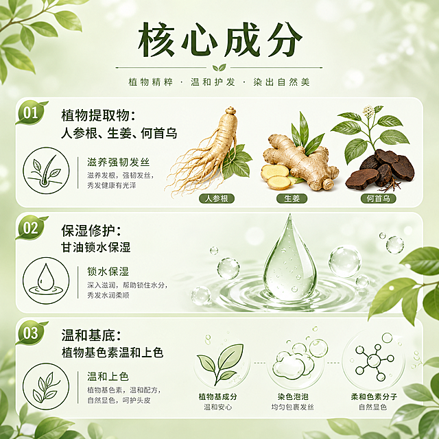 植物泡泡染发剂核心成分电商主图，1:1正方形，统一清新浅绿色背景，排版展示三类核心成分配对应植物插图："植物提取物：人参根、生姜、何首乌，滋养强韧发丝  保湿修护：甘油锁水保湿  温和基底：植物基色素温和上色"，每种成分搭配对应简约图标，风格自然清新，符合跨境电商风格