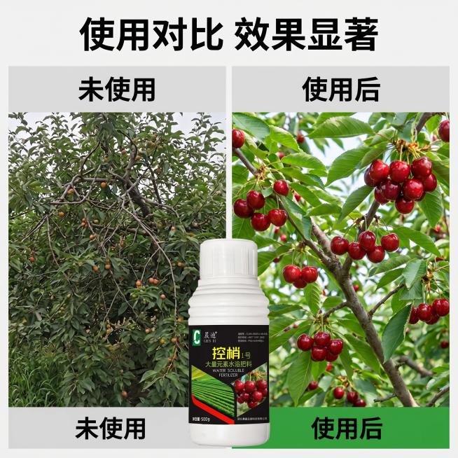 [主图 4] 控梢使用前后对比展示。氛围风格：直观效果对比型。画质：商业摄影质感，光线均匀，画面清晰高级。元素：左右分屏对比，左半部分展示未控梢果树：枝条杂乱密闭旺长，结果稀少；右半部分展示使用控梢1预览效果