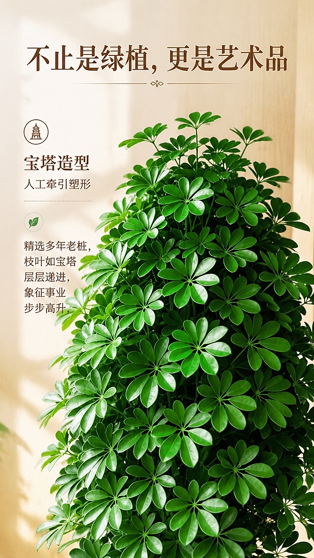 [第2屏] 拼多多详情页产品造型卖点页，宝塔鸭脚木特色解析。本屏使用【图1】作为商品主体，截取中上部枝叶展示。
[氛围/风格] 细节特写风，清晰突出产品结构特点，自然光影，真实质感。
[元素布局] 宝塔造型枝叶占据画面中心65%区域，背景为浅原木色墙面，左右两侧分栏设计，文字排版清晰，保留产品层层递进的塑形特征，结构和原图一致。
[光影质感] 侧方柔光，突出叶片层次与层叠结构，明暗对比清晰，叶片高光自然。
[配色色系] 全局底色 #F4F1EA；主色深绿叶片；辅助色原木色、深棕色文字。
[视角构图] 正面微仰视，聚焦宝塔层叠结构，景深适中。
[文字版式] 顶部主标题：不止是绿植，更是艺术品；中部卖点：宝塔造型 人工牵引塑形；下方文字：精选多年老桩，枝叶如宝塔层层递进，象征事业步步高升；文字分块排版，不遮挡主体结构。
[比例分辨率] 9:16 竖版比例，4K分辨率，文字清晰可辨，高清画质。
[负向提示词] 结构错乱，颜色失真，文字模糊，背景杂乱