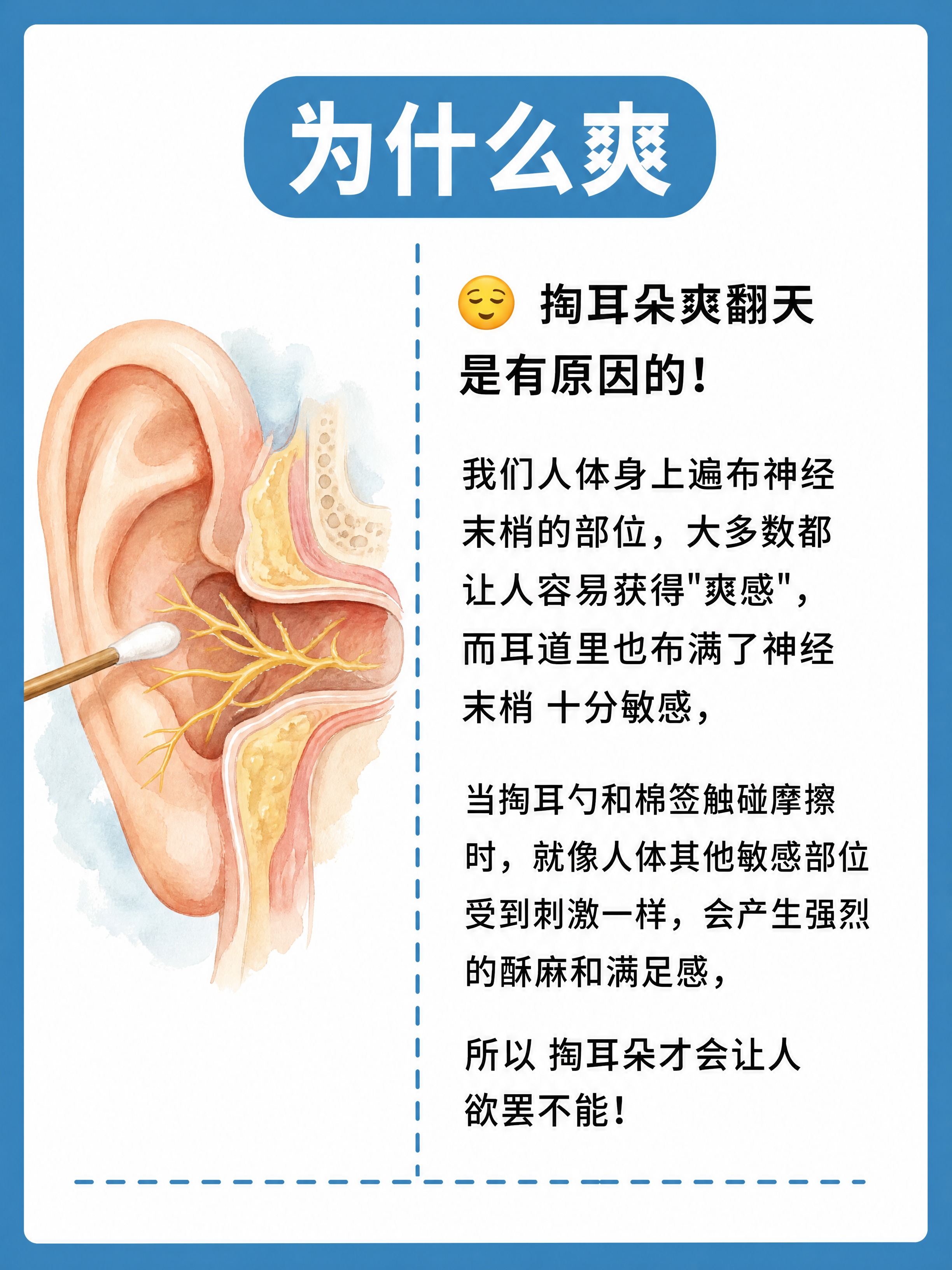 小红书科普图文内页，插图大字风格，ins清新科普风，版式骨架、… - 图片创意预览