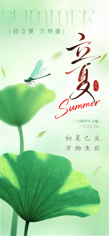 绿色立夏节气祝福全屏竖版海报预览效果