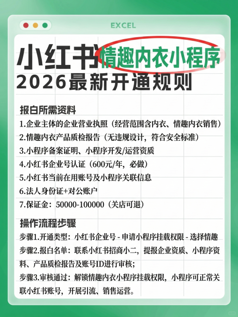 保持原图的绿色渐变背景、Excel窗口样式、字体大小和排版风格，标题替换为“小红书 情趣内衣小程序 2026 最新开通规则”，其中“情趣内衣小程序”用绿色字体加红色椭圆圈标注。内容为：报白所需资料
1预览效果