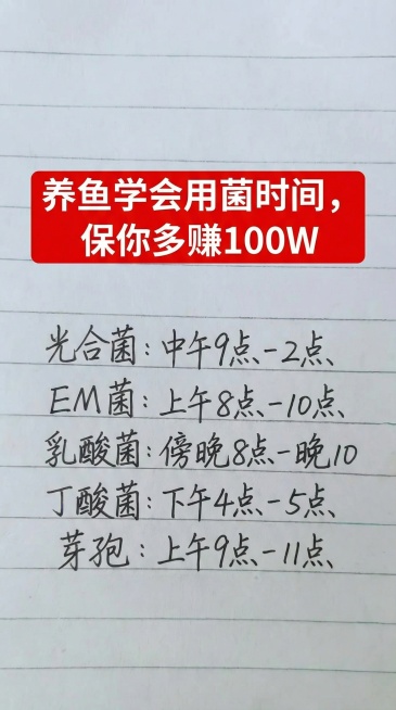 参照图片字体和颜色，替换内容为：养鱼学会用菌时间，保你多赚100W，光合菌:中午9点-2点，EM菌:上午8点-10点，乳酸菌:傍晚8点-晚10，丁酸菌:下午4点-5点，芽孢:上午9点-11点，排版布局预览效果