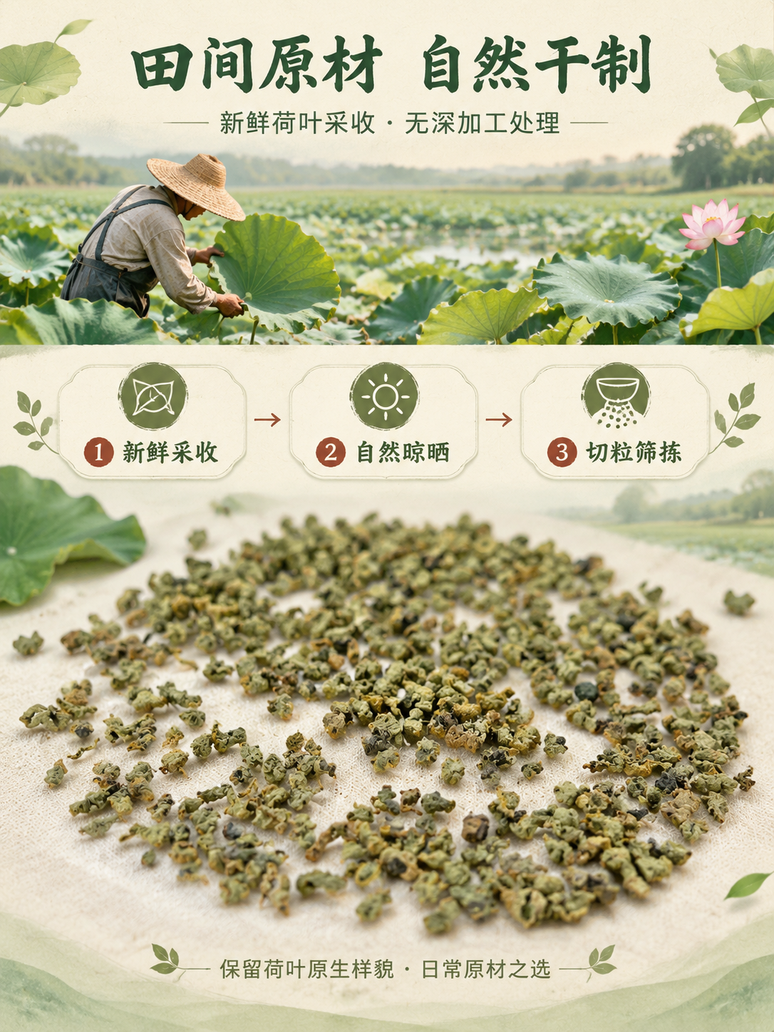 [商品] 使用【图3】平铺荷叶干颗粒；保留荷叶颗粒自然的黄绿褐… - 图片创意预览