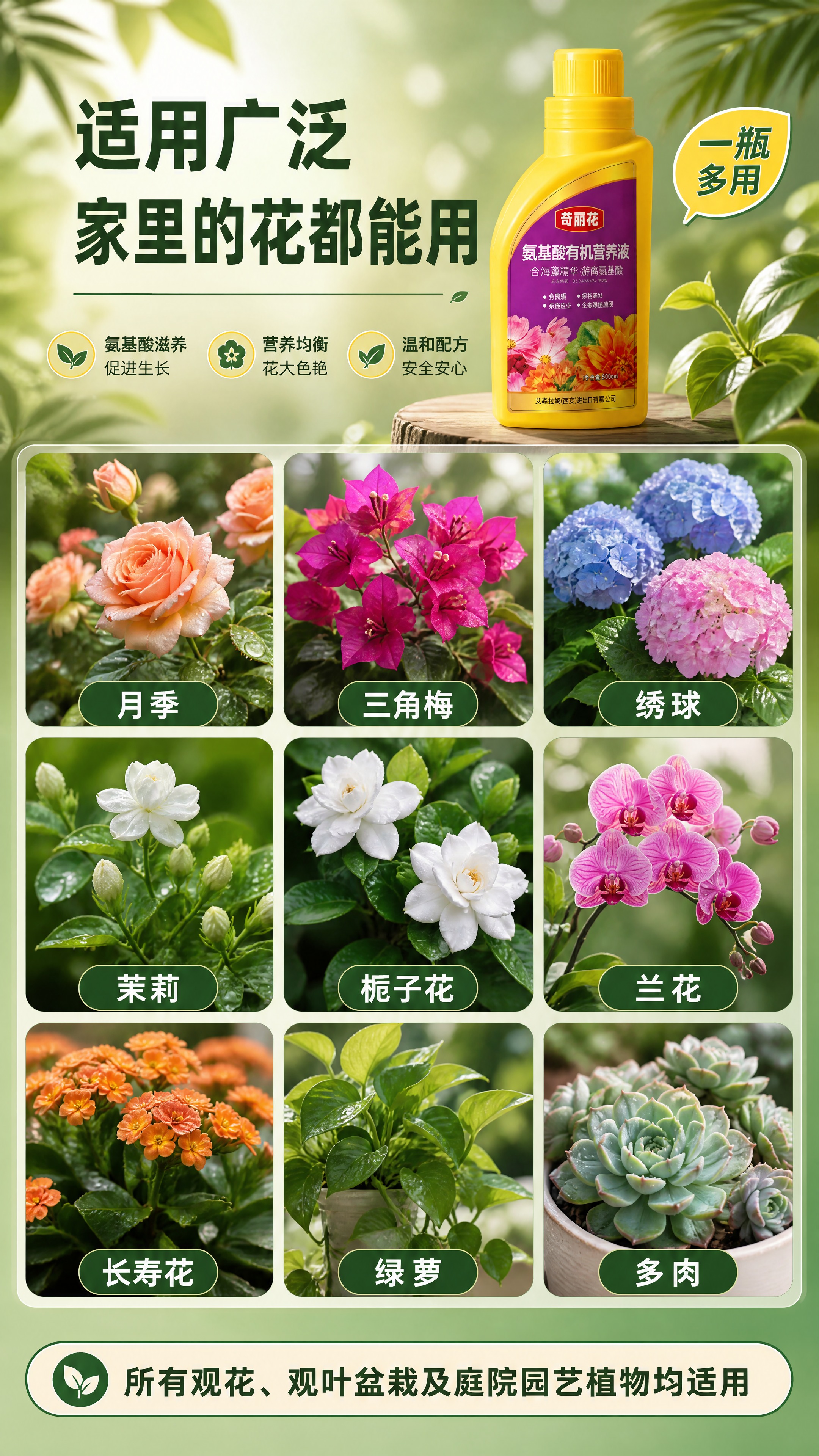 [商品] 使用【图1】苛丽花氨基酸有机营养液黄色瓶身；保留瓶身… - 图片创意预览