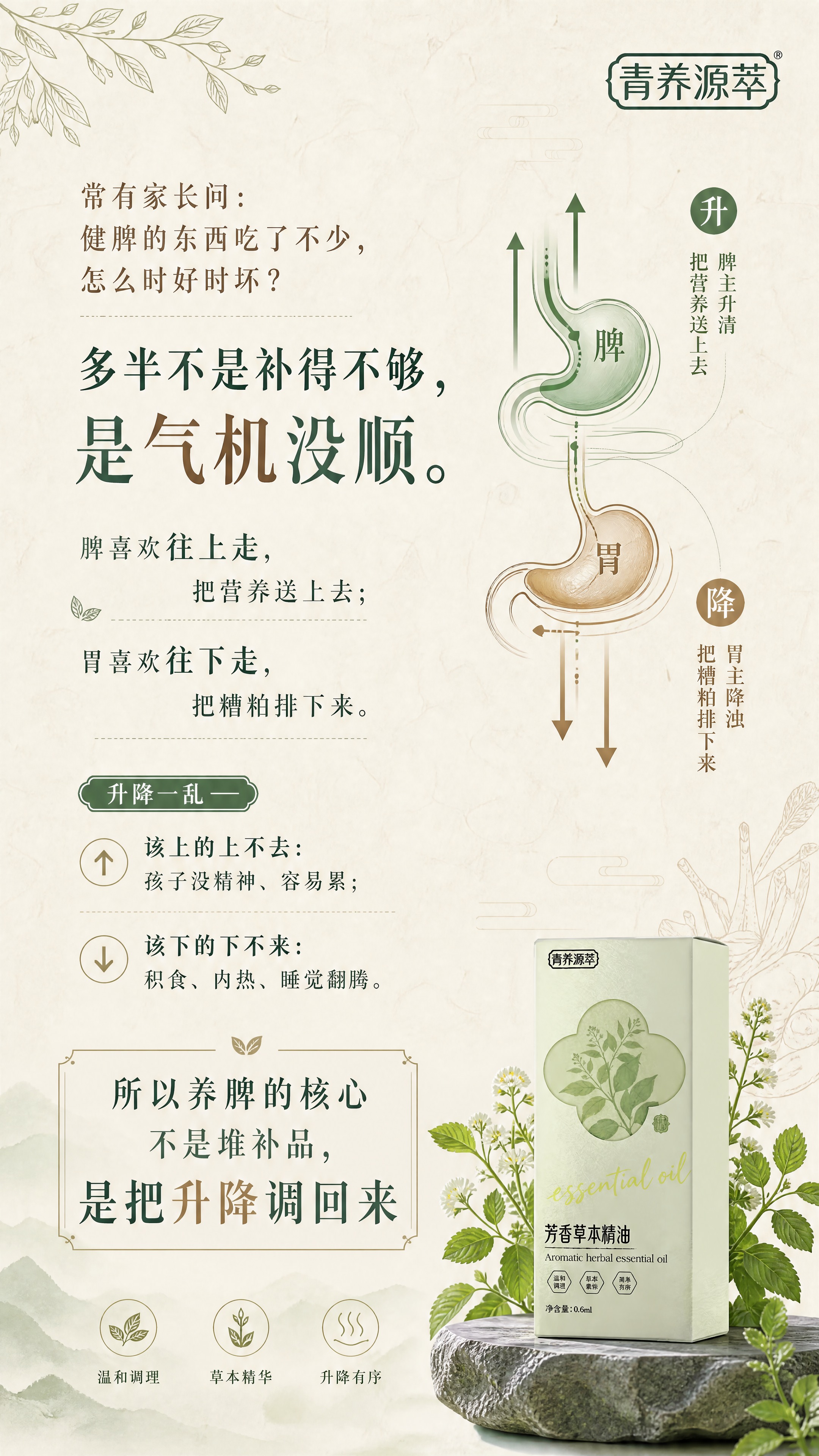 中医专业风格的竖版海报，参考上一张图的浅绿米白清新配色，背景为… - 图片创意预览