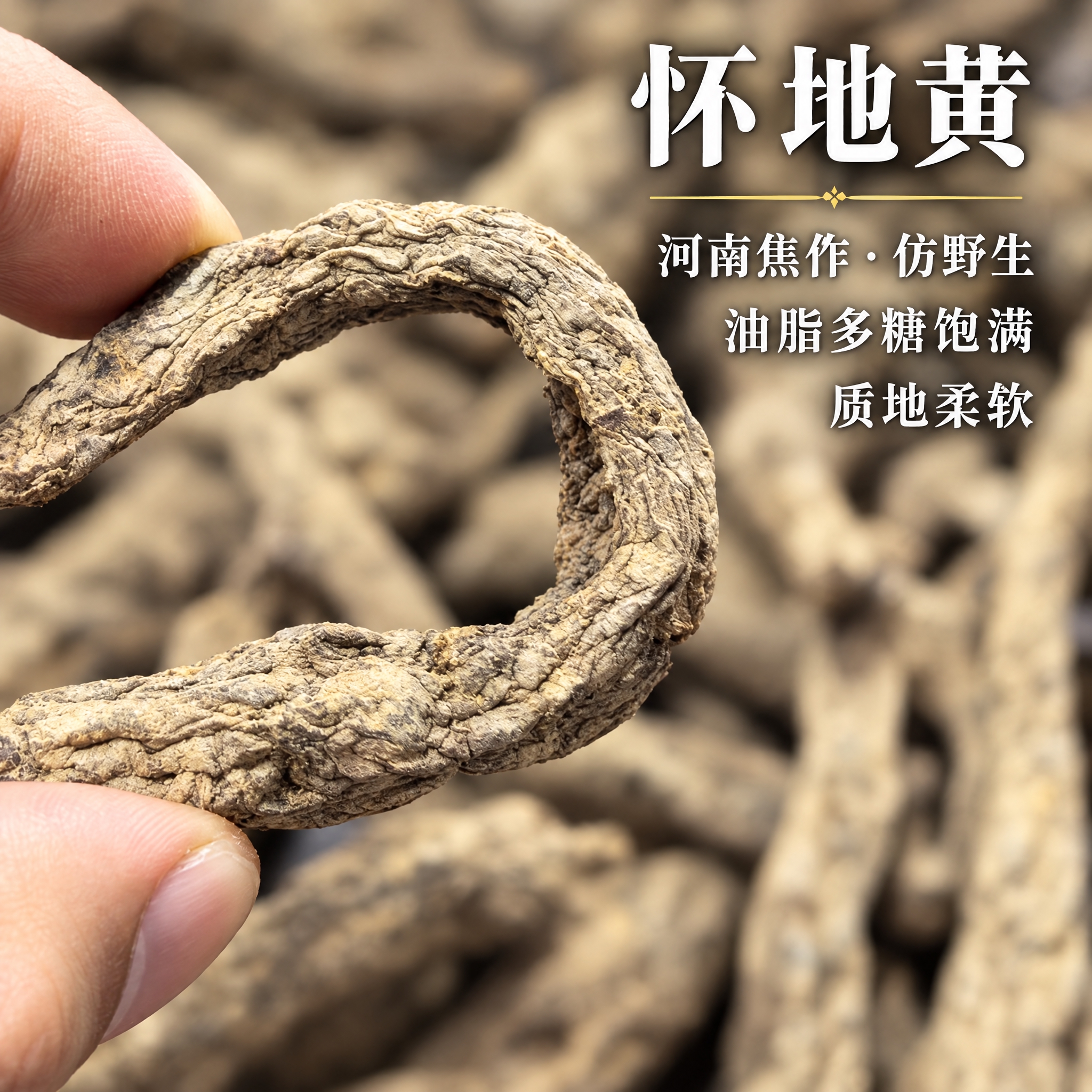 基于上传的怀地黄素材进行主图创作，严格使用上传素材，完整保留原… - 图片创意预览