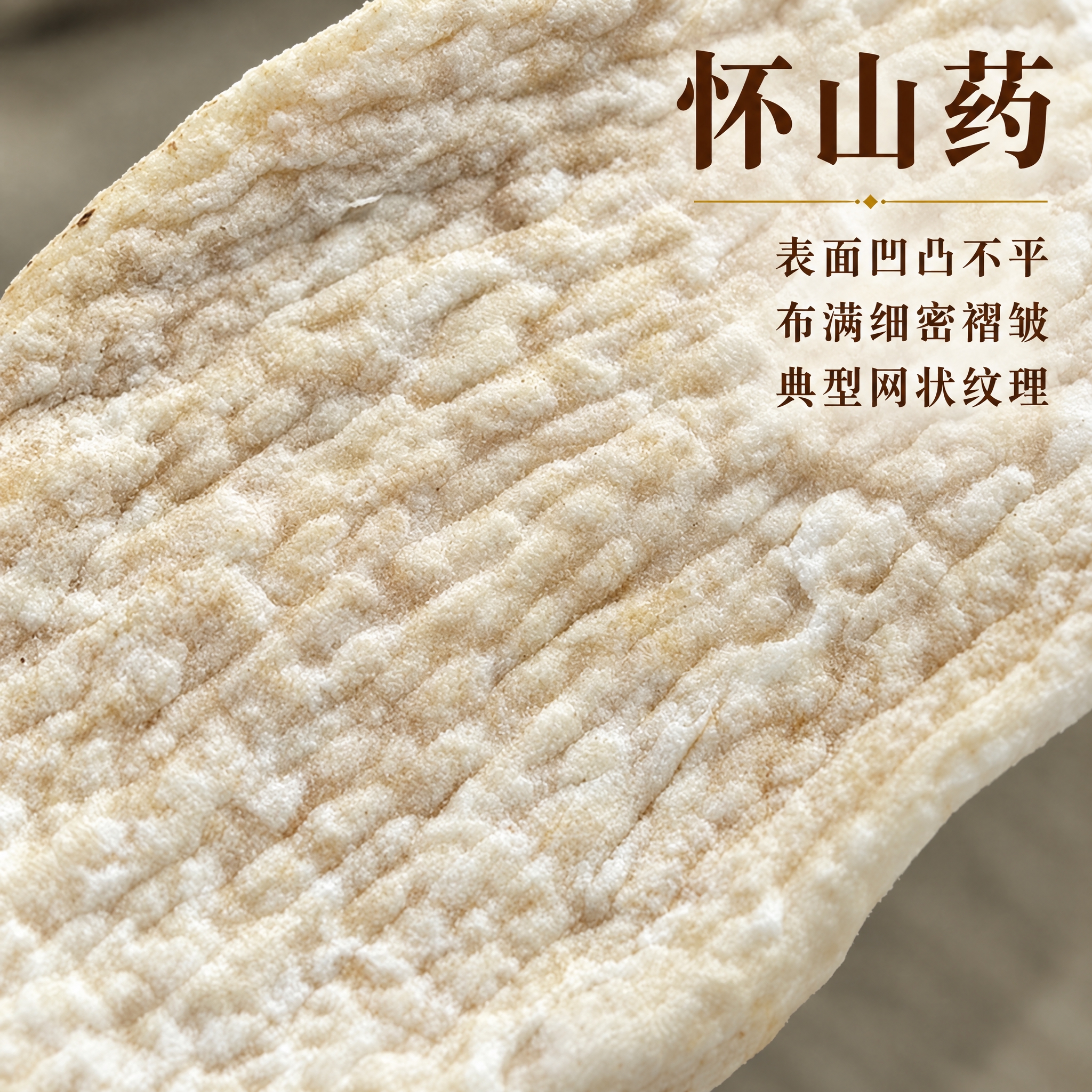 基于上传的怀山药素材进行主图创作，严格使用上传素材，完整保留原… - 图片创意预览