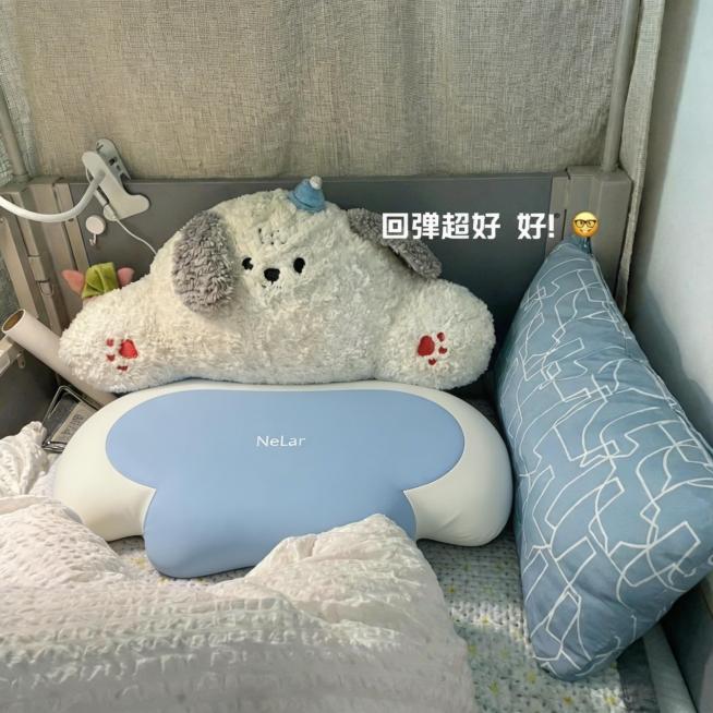 将毛绒小狗玩偶下方的浅蓝色长枕头替换为给定的蓝白拼色NeLar品牌云朵形状的枕头，完全保留原图的宿舍床上场景、毛绒小狗玩偶、文字、夹子灯、光影、其他所有物品，替换后自然融合，与原图风格完全一致预览效果