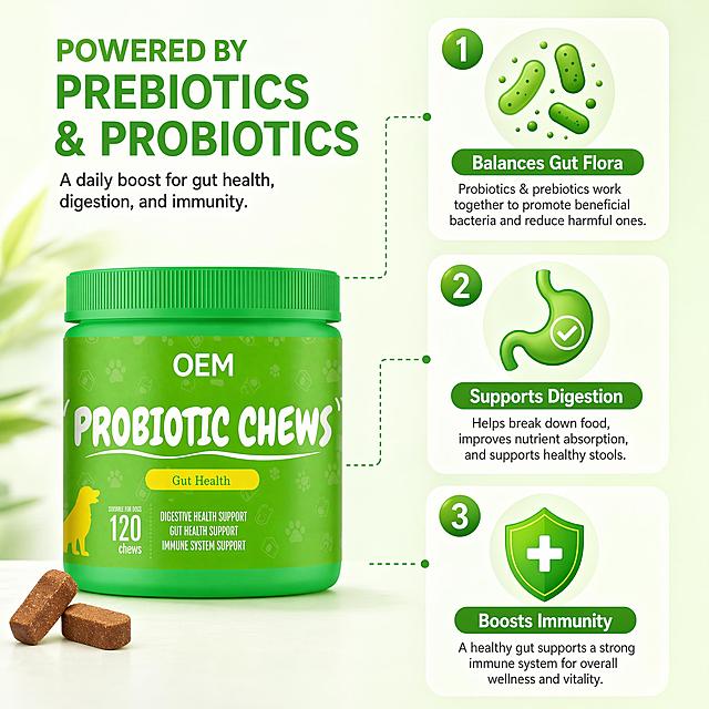 [主图-7] Ingredients mechanism display of prebiotics and probiotics. Fresh light green clean background. Style: scientific professional mechanism display page. Image quality: clean flat design combined with product photography, clear layers, high resolution. Elements: product bottle placed at lower left, upper right area with three numbered steps explaining mechanism: 1. "Balances Gut Flora" with microbe icon, 2. "Supports Digestion" with stomach icon, 3. "Boosts Immunity" with shield icon. Each step uses large icons with short text descriptions, clear logic. Keep product appearance consistent with original image. Background clean, text clear, no overlapping product. Light and shadow: soft uniform light, clear text and icons, soft shadow. Color scheme: main color light green, icons use gradient green, text white, high contrast. Perspective and composition: left product right mechanism explanation, clear separation. Output requirements: 1:1 ratio, text clear, ultra high definition commercial photography quality. Negative prompt: deformation, text confusion, false scientific information, messy background, watermark, Chinese characters.