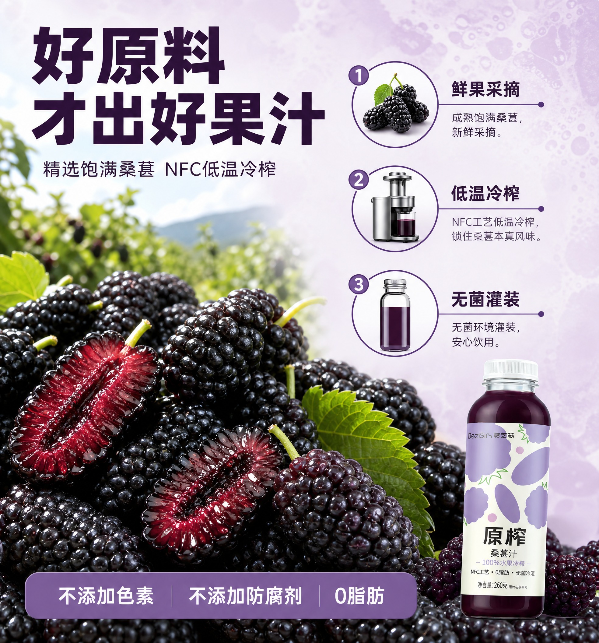 [商品] 使用【图1】焙芝芯原榨桑葚汁；保留透明瓶身、深紫色果… - 图片创意预览