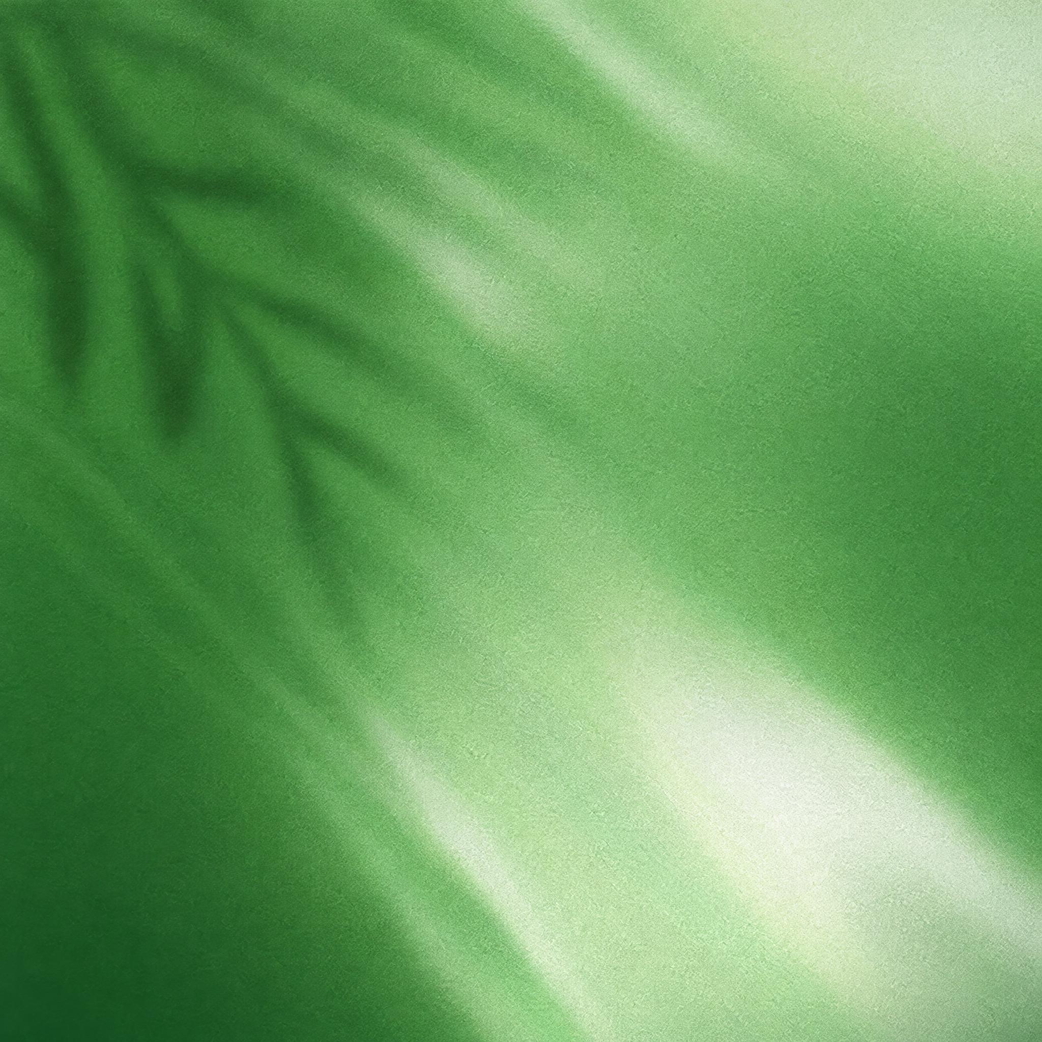 参考图的绿色磨砂质感光影背景风格，重新生成纯背景画面，不要任何… - 图片创意预览