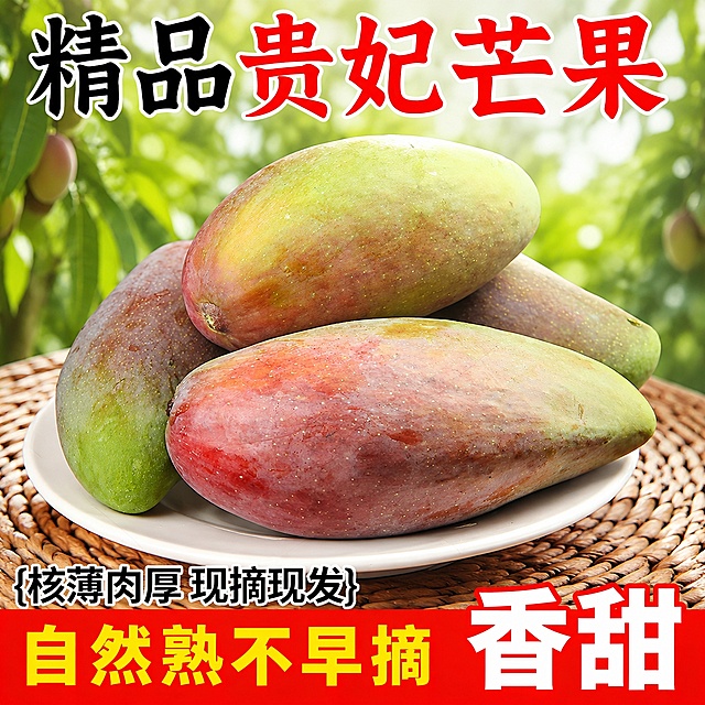 [主图] 贵妃芒果电商首图，复刻参考图爆款大字营销风格
[氛围风格] 新鲜自然，生鲜食欲感十足，突出商品品质
[画质] 商业摄影质感，光线柔和通透，芒果清晰真实，画面干净高级
[元素] 保持贵妃芒果的外观形状、表皮颜色纹理与输入产品图绝对一致，杜绝任何变形和色差，精细化处理。四颗贵妃芒果堆叠放在白色盘子上，盘子放在编织餐垫上，背景替换为清新自然绿色果园虚化背景，商品主体占比控制在65%左右，画面满屏无边框
[光影] 自然逆光从芒果后方照射，突出芒果表皮光泽和通透质感，整体光线明亮清新，高光不溢出，暗部有层次
[配色] 主色调为芒果红绿渐变色，背景清新绿色，文字采用红黑白经典配色，对比强烈醒目
[视角构图] 平视视角，景深适中，芒果完整居中，轮廓不裁切
[文字版式] 顶部放置主标题，"精品贵妃芒果"，黑色加红色大字粗体，描白边，醒目清晰，保持不遮挡芒果主体。中下部标注卖点文字，顶部小字 "核薄肉厚 现摘现发"，黑色清晰字体。底部红色通栏色块，左侧黄色大字 "自然熟不早摘"，右侧白色大字 "香甜"，所有文字清晰可读，不遮挡芒果主体
[输出要求] 1:1 正方形比例，文字清晰可辨，超高清商业摄影质感
[负向提示词] 变形，文字错乱，芒果模糊，背景杂乱，水印，电商平台Logo，绝对化违禁词