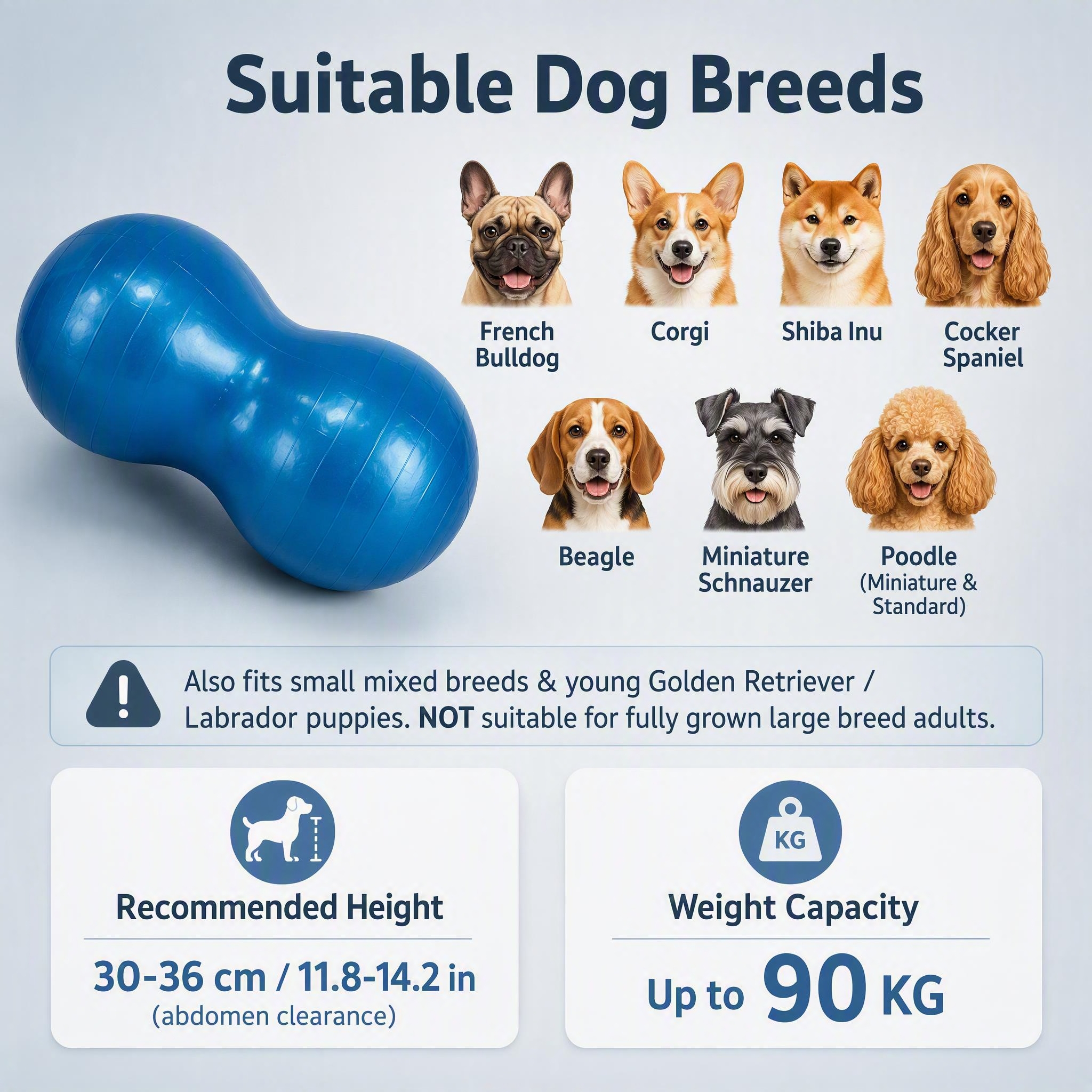 Amazon infographic image about… - 图片创意预览