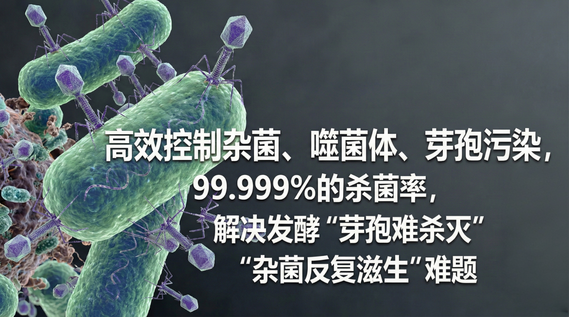 预览效果