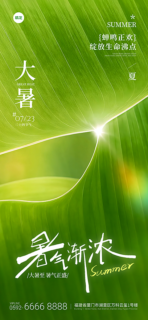 大暑节气实景光感荷叶祝福全屏海报