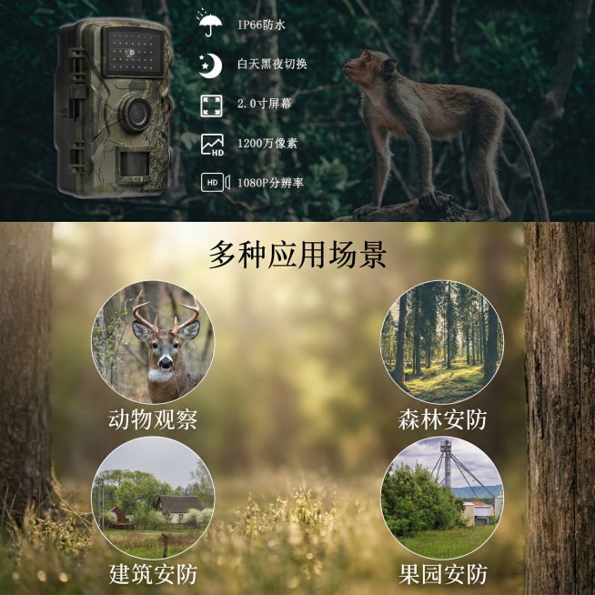将图片调整为正方形比例，画面铺满无留白，整体协调，其余内容完全不变预览效果