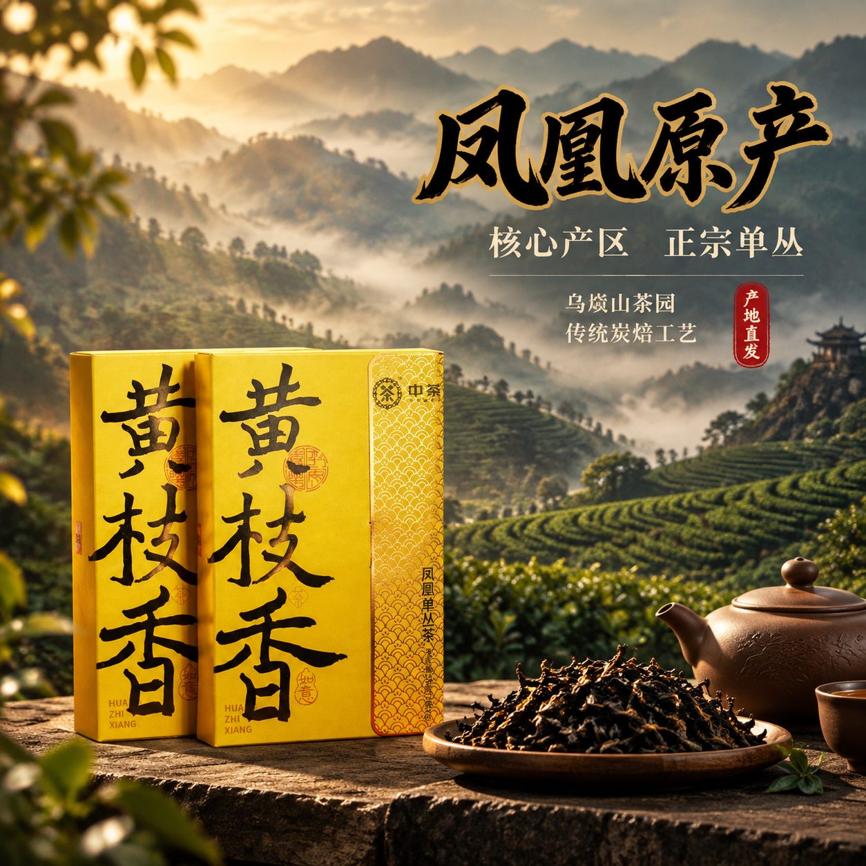 [主图-2 产地溯源] 中茶黄枝香凤凰单丛茶抖音主图第二张，核… - 图片创意预览