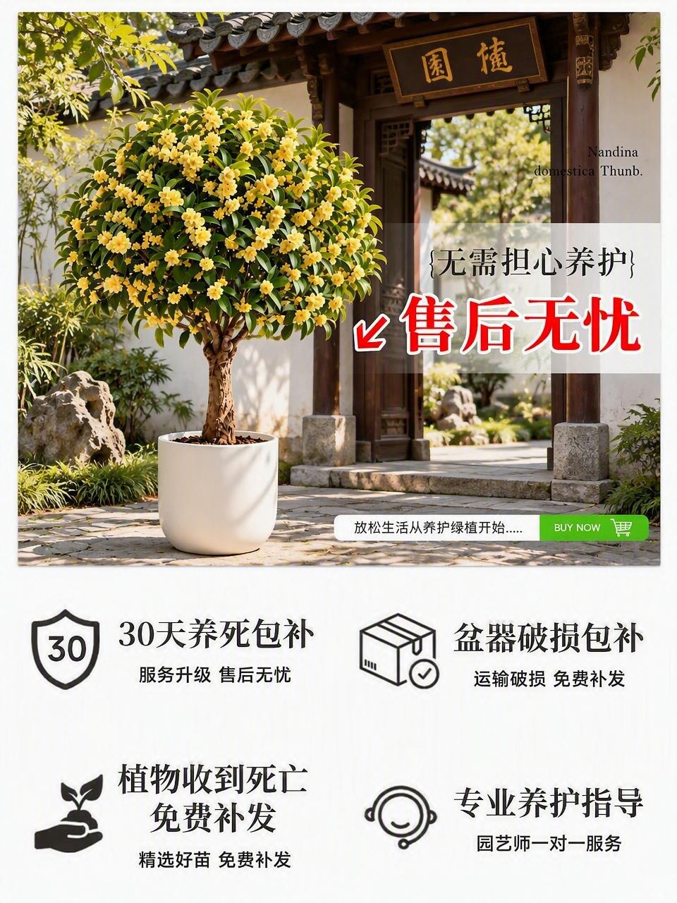 将图中上方主图区域的中式客厅背景替换为中式园林门口场景，保留白… - 图片创意预览