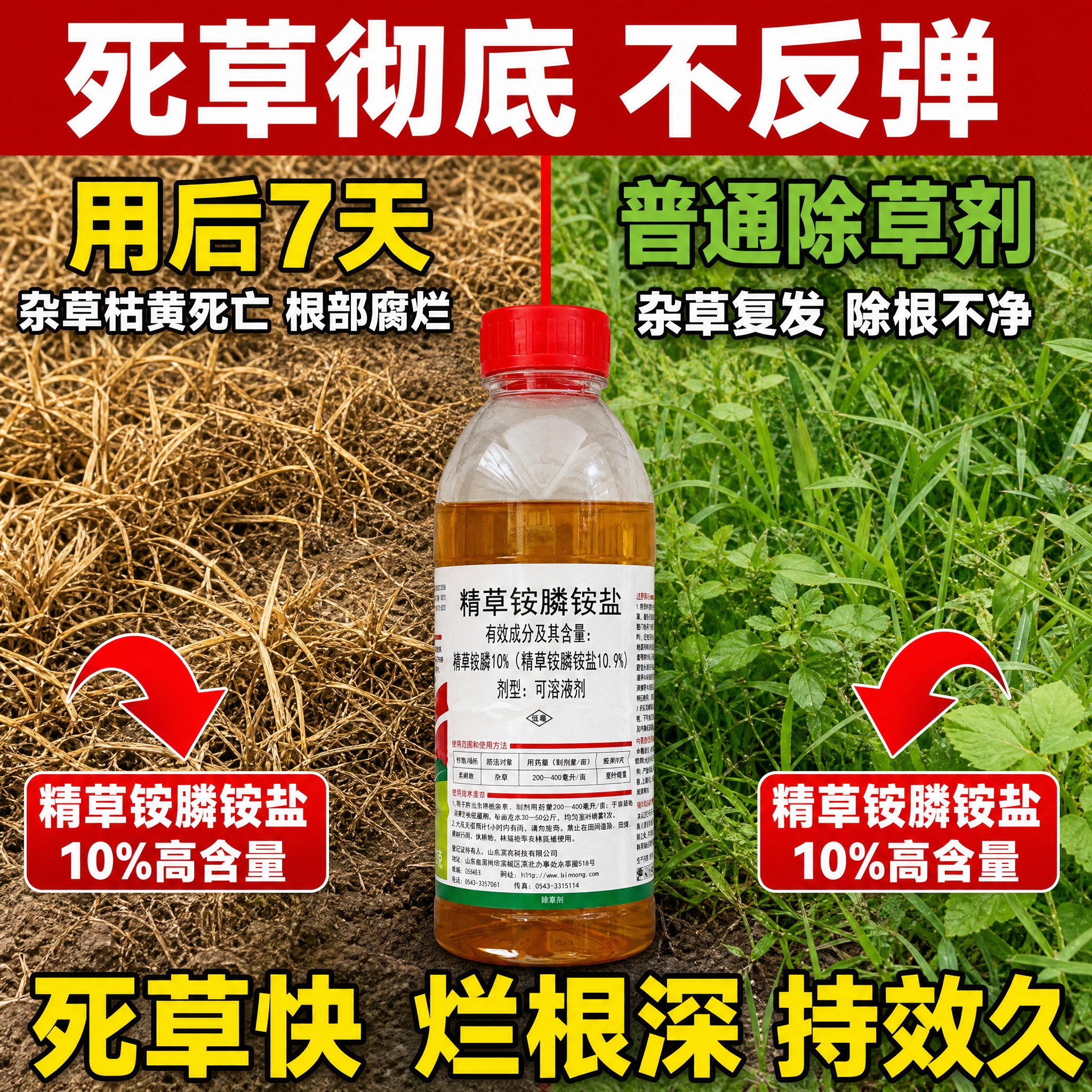 [主图-3] 精草铵膦铵盐除草剂 效果对比图，突出死草快、效果… - 图片创意预览