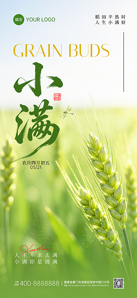 小满时节节气祝福绿色稻田稻穗通用全屏竖版海报