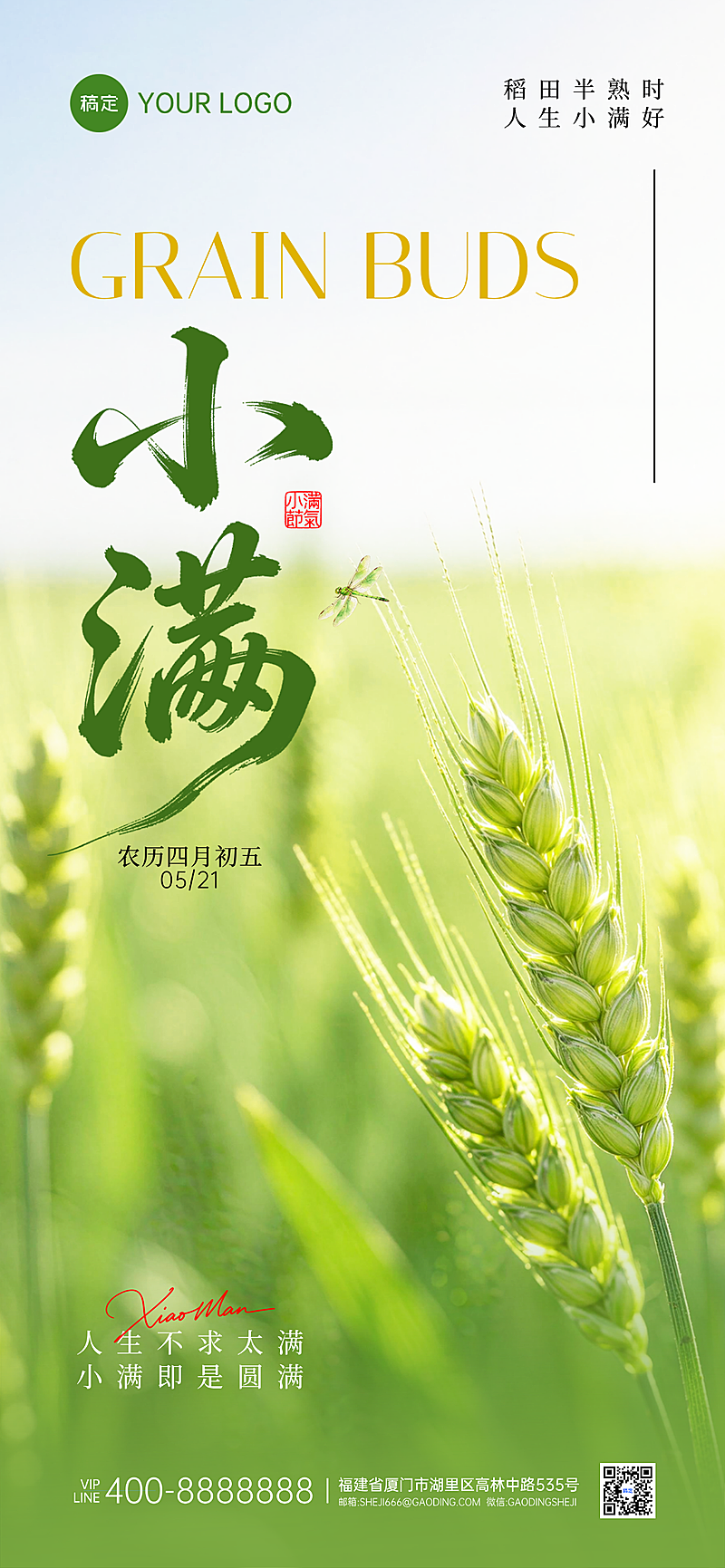 小满时节节气祝福绿色稻田稻穗通用全屏竖版海报