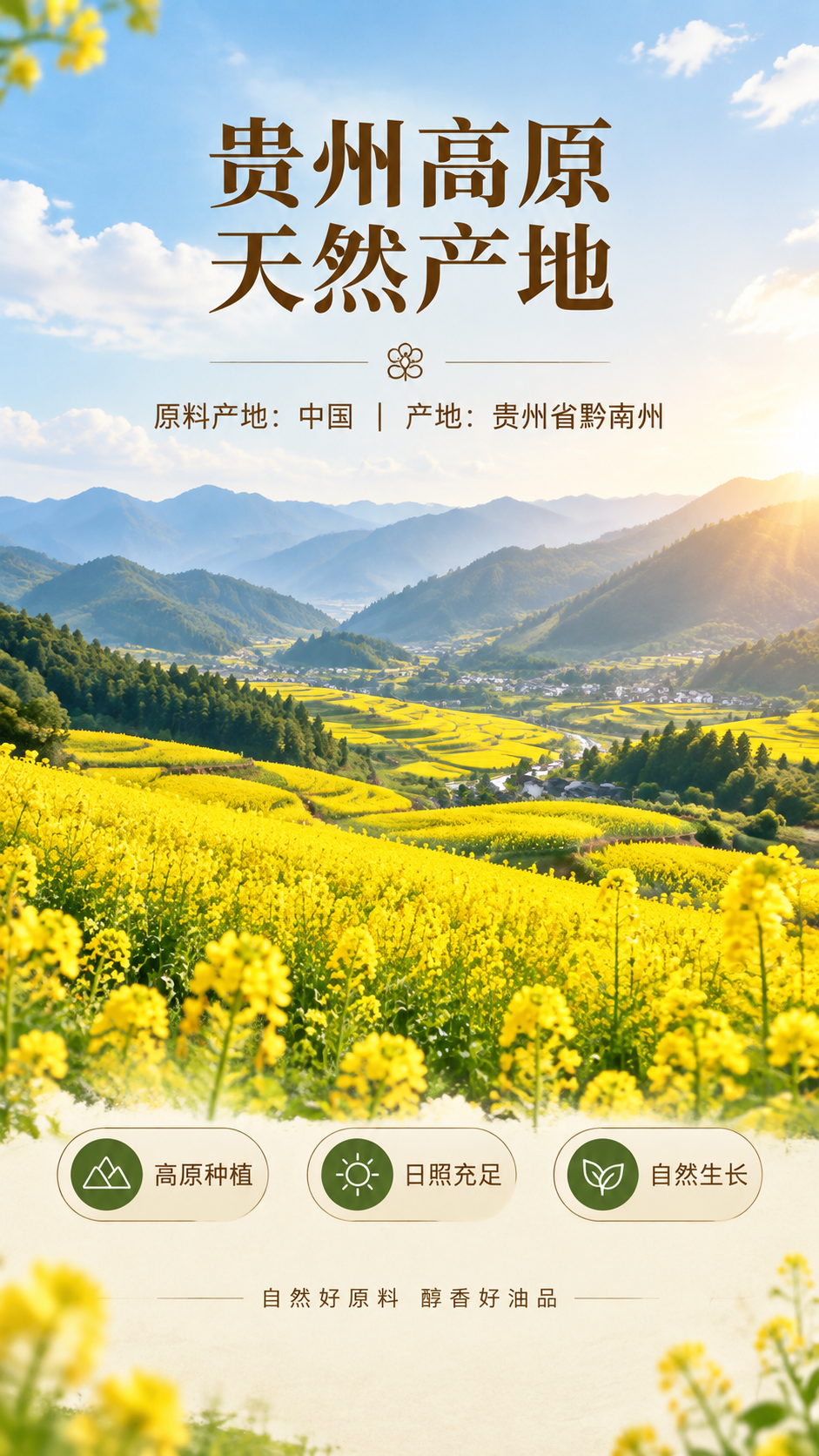 电商详情页第二屏（产地图），9:16竖版，简单高级感，自然真实… - 图片创意预览