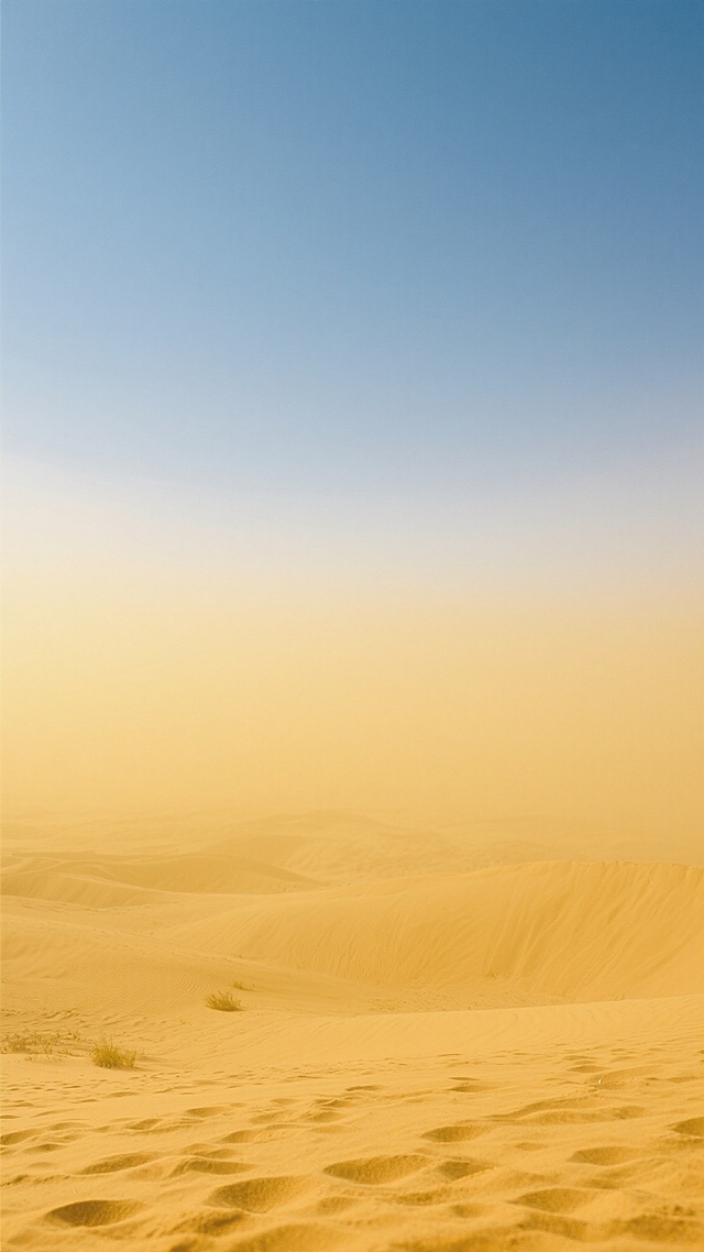 黄沙漫天，万里无云，雾蒙蒙的黄色背景