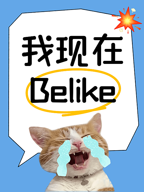 情感话题讨论生活分享可爱宠物爆款吸睛大字表情包梗图小红书封面