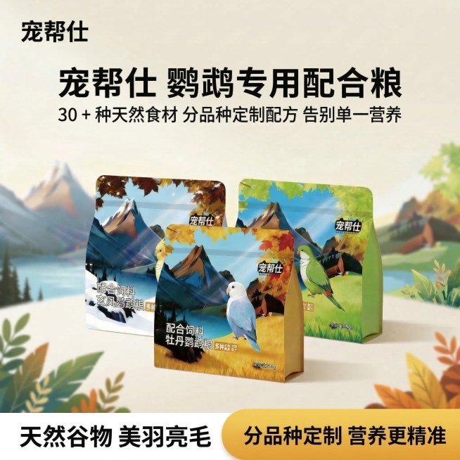 预览效果