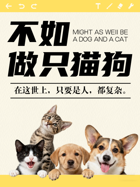 宠物话题讨论小红书封面预览效果