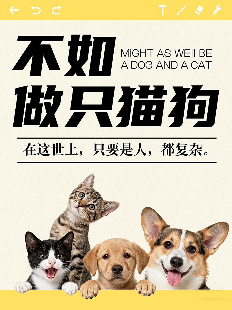 宠物话题讨论小红书封面