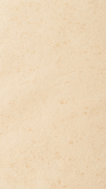 米色牛皮纸纹理背景，纸张表面带有自然分布的细小纤维纹理和轻微的斑驳质感，整体色调统一为温暖的米黄色，呈现出复古、质朴的氛围，纸张纹理清晰可见，具有真实的纸质触感和细腻的肌理效果，无任何文字、图案或装饰元素，仅为纯粹的不同纹路交织的纸张背景。预览效果