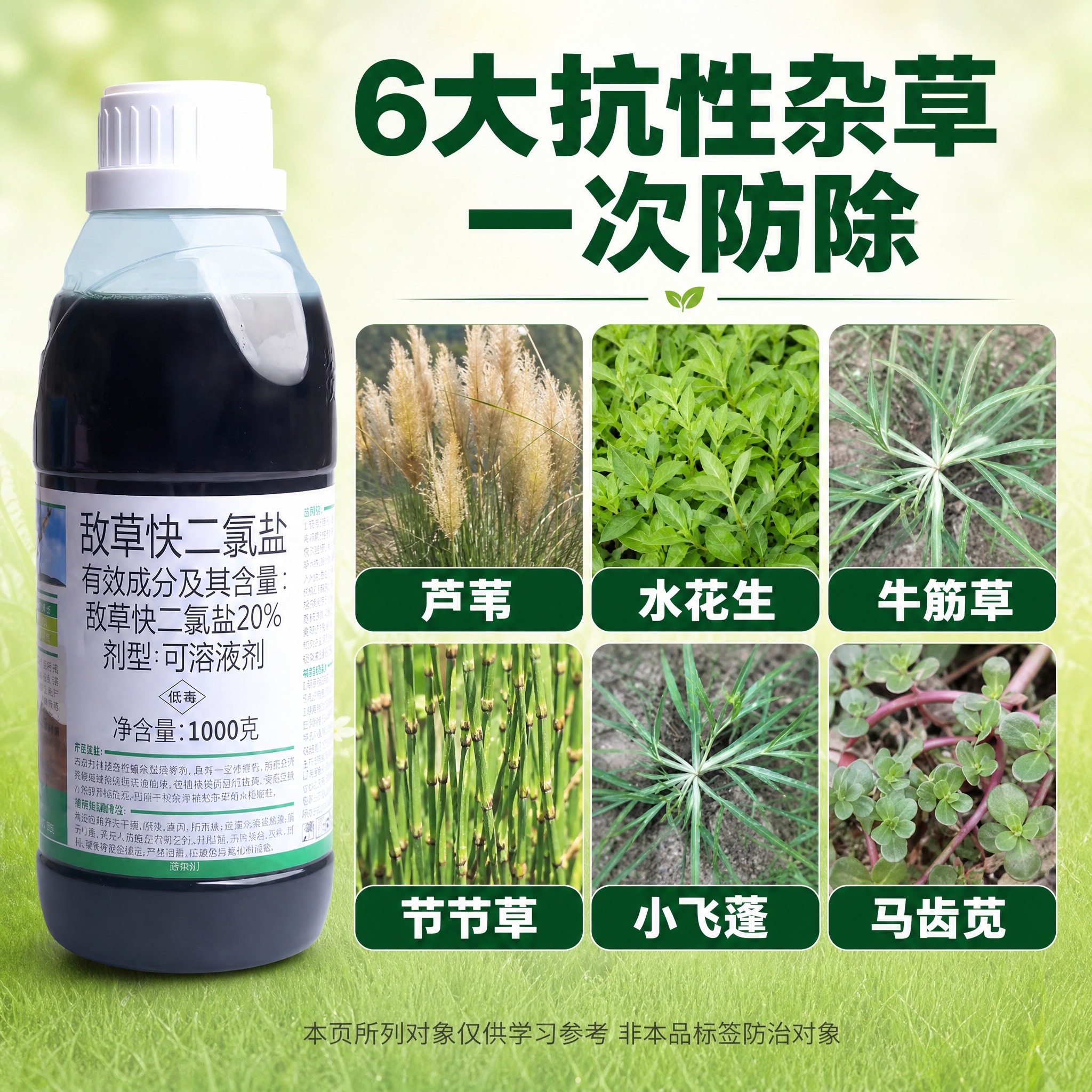 [主图-2] 敌草快二氯盐除草剂 防除杂草图谱版，主题为6种抗… - 图片创意预览