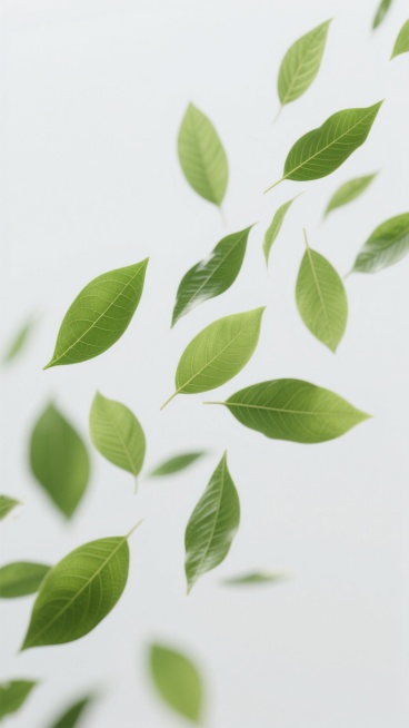 白色背景上，多片形态自然的绿色叶子以轻盈飘逸的姿态从右上角向左下角散开飘落，呈现出风吹过时的动态模糊效果，叶片边缘清晰，叶脉纹理细腻可见，整体色调为清新的绿色，营造出凉爽、透气、自然舒适的氛围，画面简洁干净，充满夏日微风拂面的清凉感。预览效果