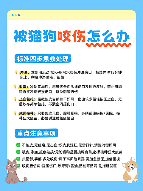 猫狗抓伤预防健康知识分享小红书配图