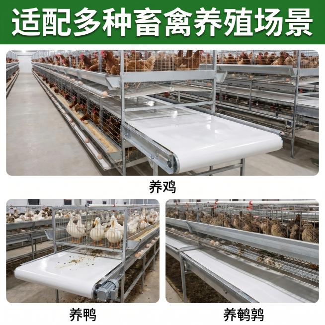 [主图 4] PP清粪带适配多种养殖场景展示图。[氛围风格] 专业工业电商风格，和整套主图保持一致。[画质] 商业摄影质感、光线柔和通透、产品清晰真实、画面干净高级。[元素] 拼图展示，主区域展示清粪预览效果