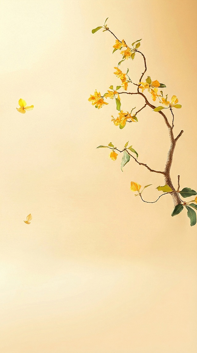 下面的部分去掉，保留上面桂花树枝，从画面右边伸出来