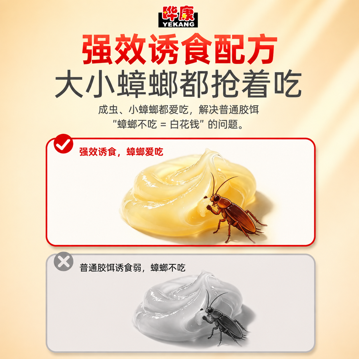 将这张图片调整为800x800正方形电商主图，整体色调风格统一… - 图片创意预览