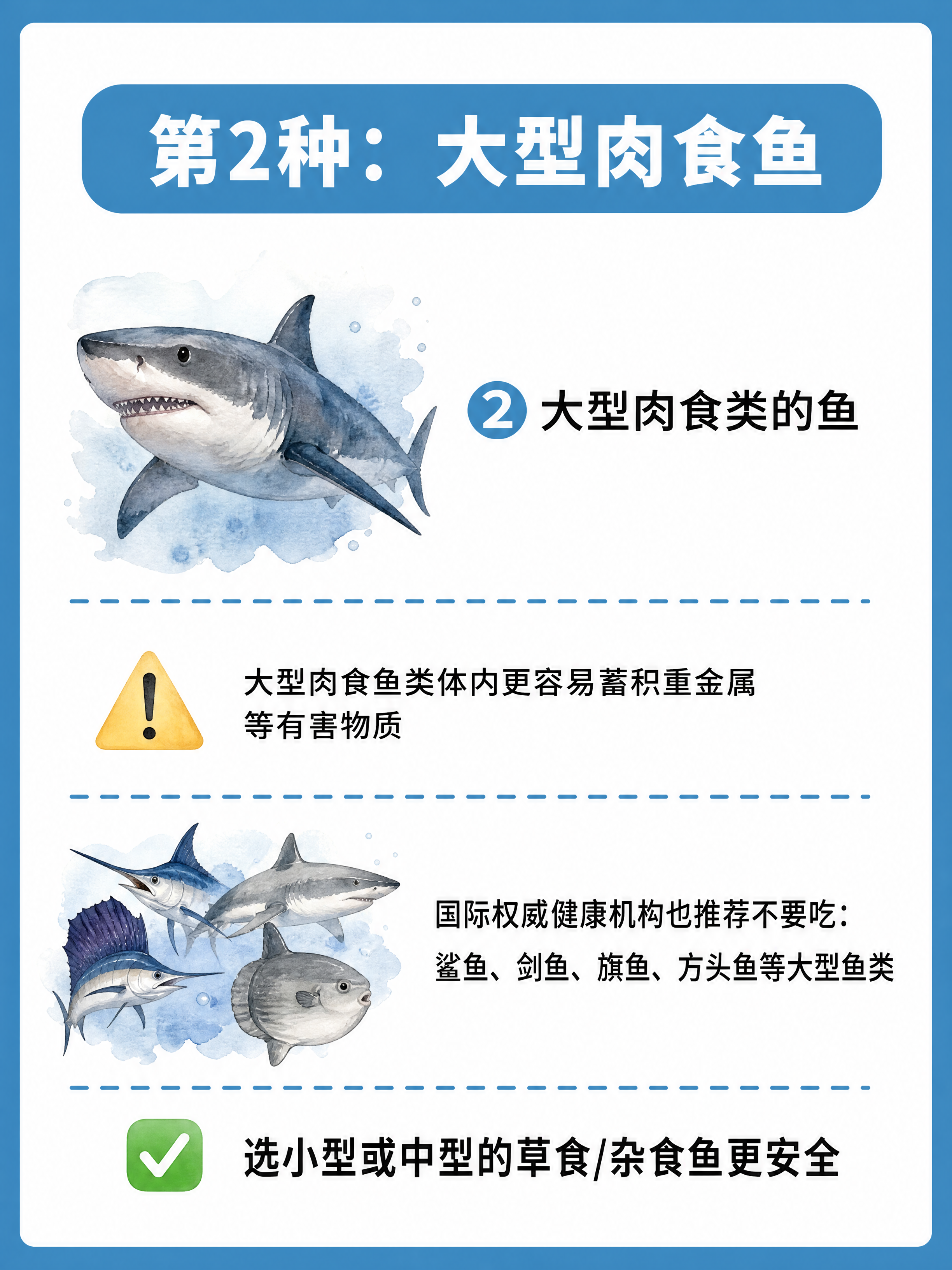 小红书健康科普图文内页，插图大字风格，ins清新风，版式精美，… - 图片创意预览