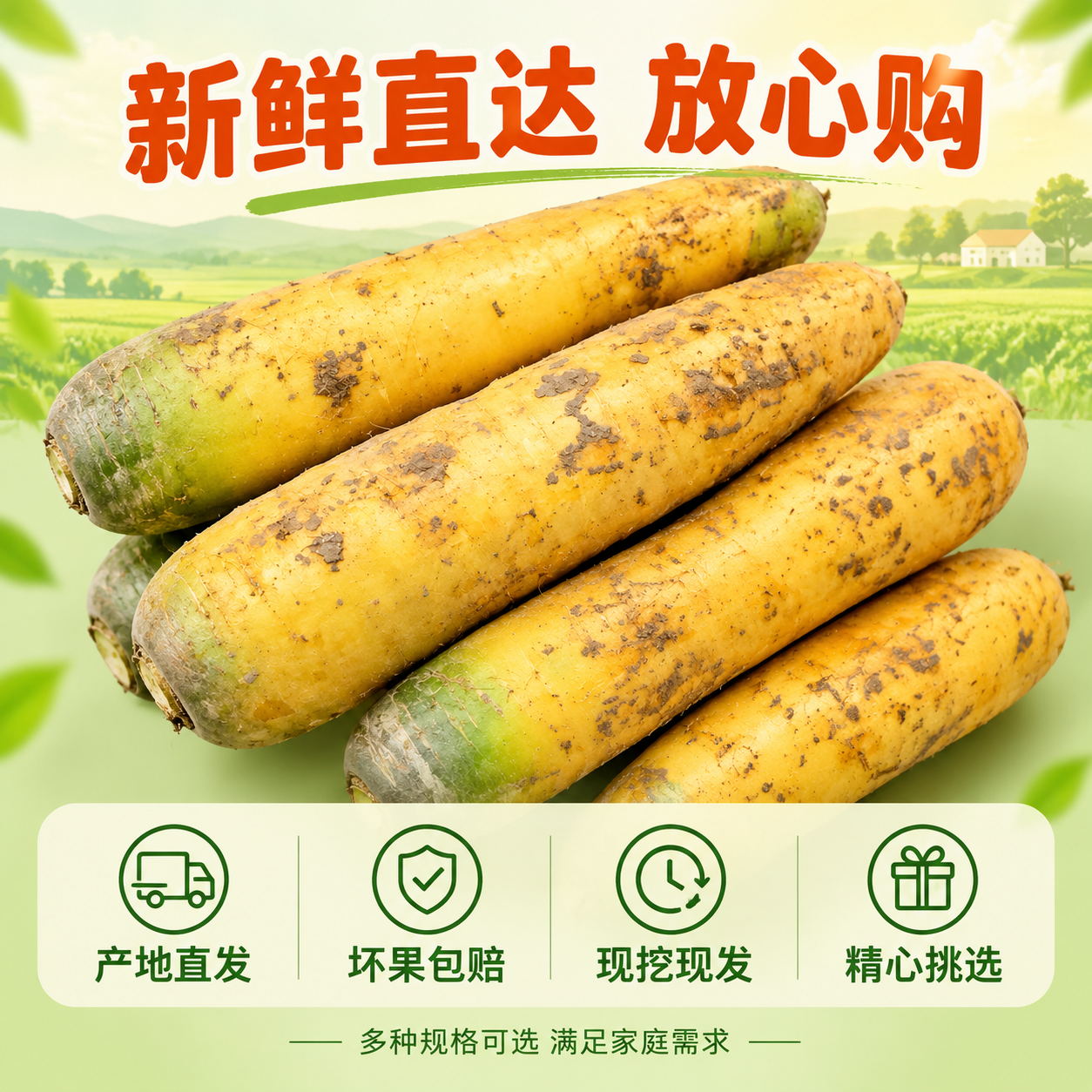 [主图-5] 服务承诺与规格，主题：新鲜直达 坏果包赔 放心购… - 图片创意预览