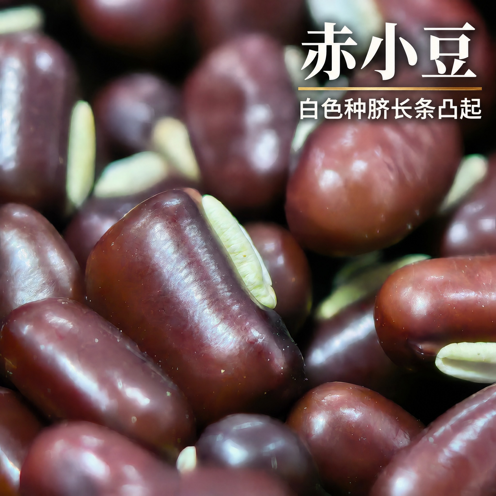 以上传的赤小豆素材为基底制作中药材电商主图。严格保留原画面：画… - 图片创意预览