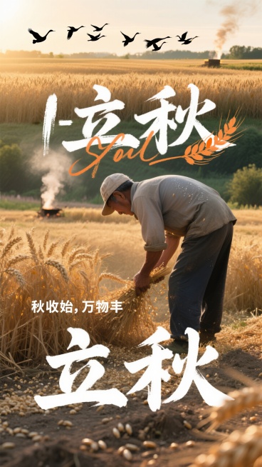 画面风格为温暖纪实风，以暖橙、麦黄、深绿为主色调。采用横向三分法：上 1/3 是掠过麦田的雁群剪影，中 1/3 是农人弯腰收割的背影，下 1/3 是散落着谷粒的土地。“立秋” 二字用手写体穿插在中 1预览效果