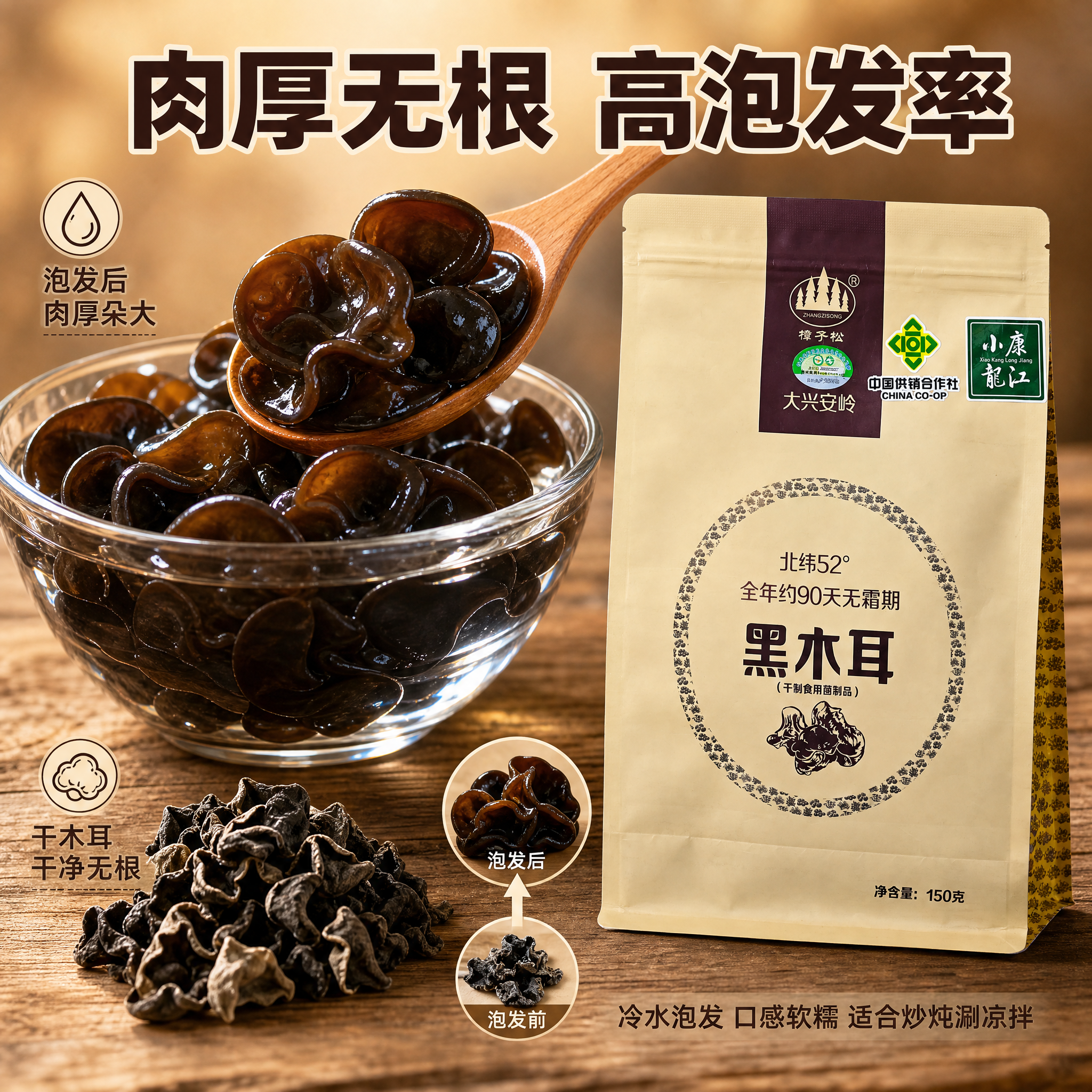 [主图-3] 细节品质与泡发效果图，微距展示黑木耳肉厚无根、高… - 图片创意预览