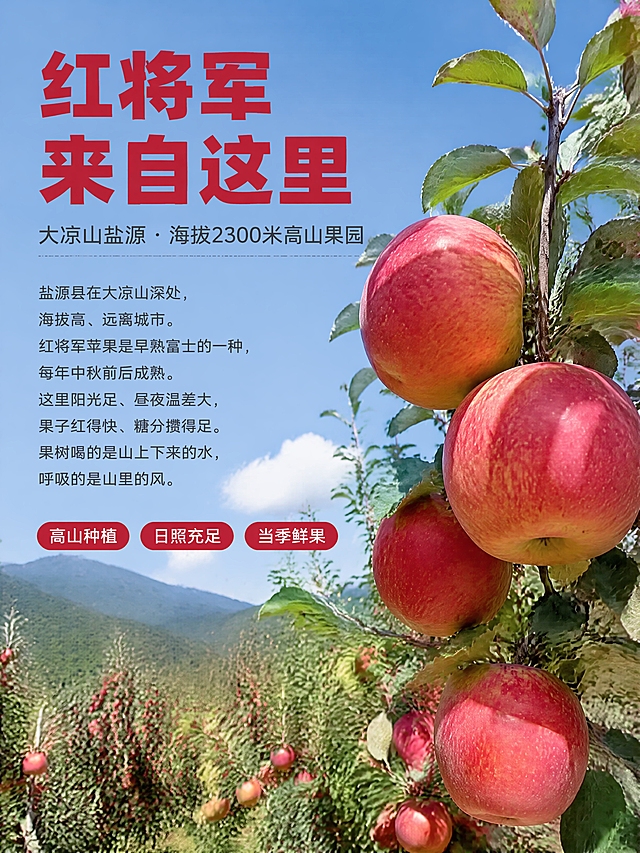 [详情页第1屏 红将军 产地生态 3:4] 产地生态首屏，真实果园实拍风，轻度排版，正红大字，3:4竖版。
[视觉套系] 风格=真实果园实拍+轻度精修排版；标题字=粗黑体厚重有力；正文字=简洁无衬线体；主色=正苹果红；背景延展=真实高山果园蓝天绿叶；强调色=正红；标题色=正苹果红；正文色=深暖灰；组件=红底白字圆角胶囊标签；光影=真实自然日光，明亮通透。
[画面] 3:4竖版构图，真实高山果园场景——挂满红苹果的果树、蓝天、阳光、绿叶，真实自然。前景有几颗挂在枝头的红苹果清晰，中远景果树林和山峦，有真实景深。画面整体明亮通透，像在果园里随手拍的大片感。保留真实实拍质感，不过度修图。
[文字] 上部大标题「红将军来自这里」正红粗黑大字；副标题「大凉山盐源 · 海拔2300米高山果园」深暖灰小字；中部左侧正文区：盐源县在大凉山深处，海拔高、远离城市。红将军苹果是早熟富士的一种，每年中秋前后成熟。这里阳光足、昼夜温差大，果子红得快、糖分攒得足。果树喝的是山上下来的水，呼吸的是山里的风。底部3个红底白字胶囊标签：高山种植 / 日照充足 / 当季鲜果。所有文字横排，手机端清晰可读，不遮挡苹果主体。
[规格] 比例3:4竖版，4K清晰度，真实实拍感，AI感轻。负向：变形、错字、文字过小、假背景、3D渲染感、过度美化、冷蓝滤镜、城市建筑、集装箱。