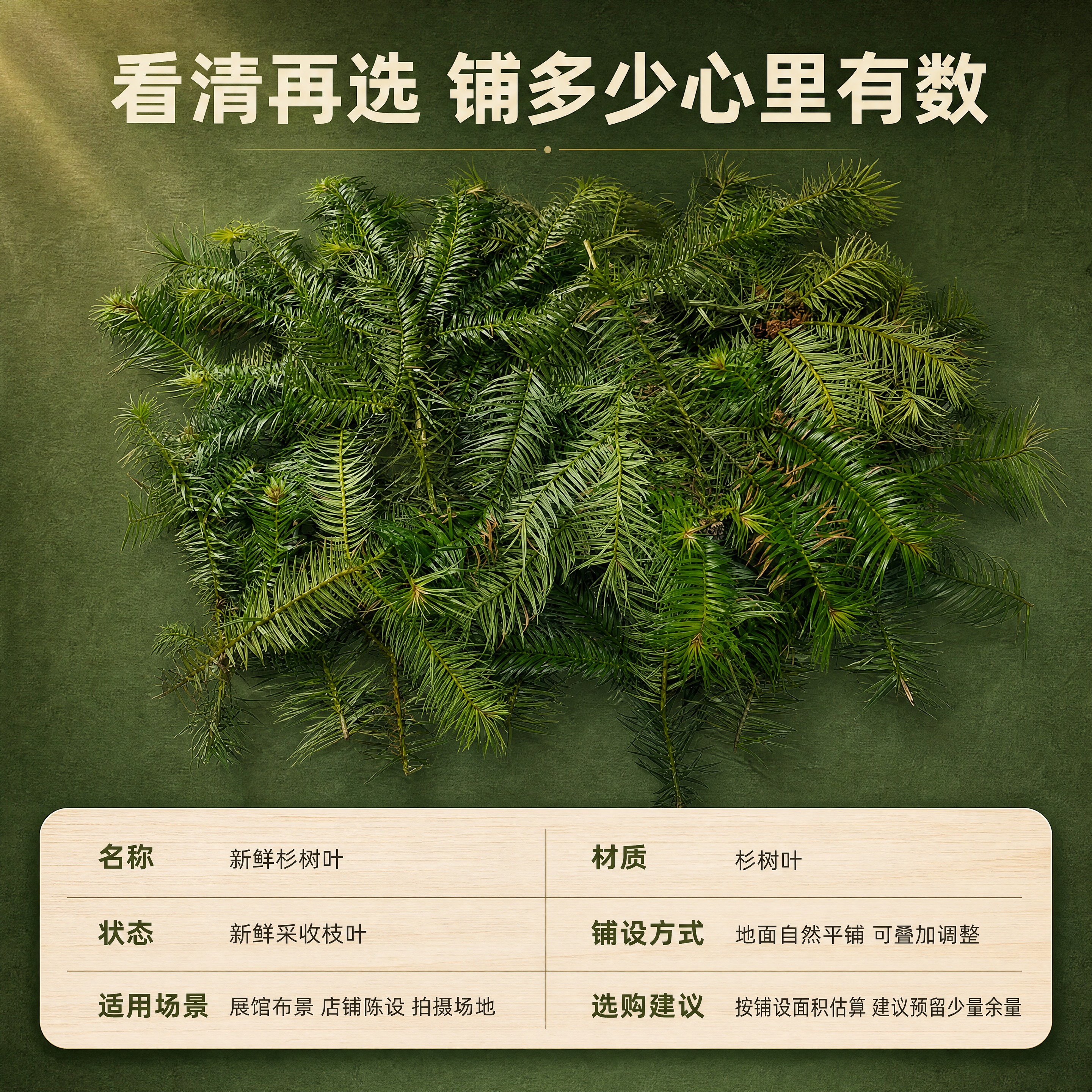 [商品] 使用【图4】【图5】的杉树叶俯视铺展作为产品标准照，… - 图片创意预览