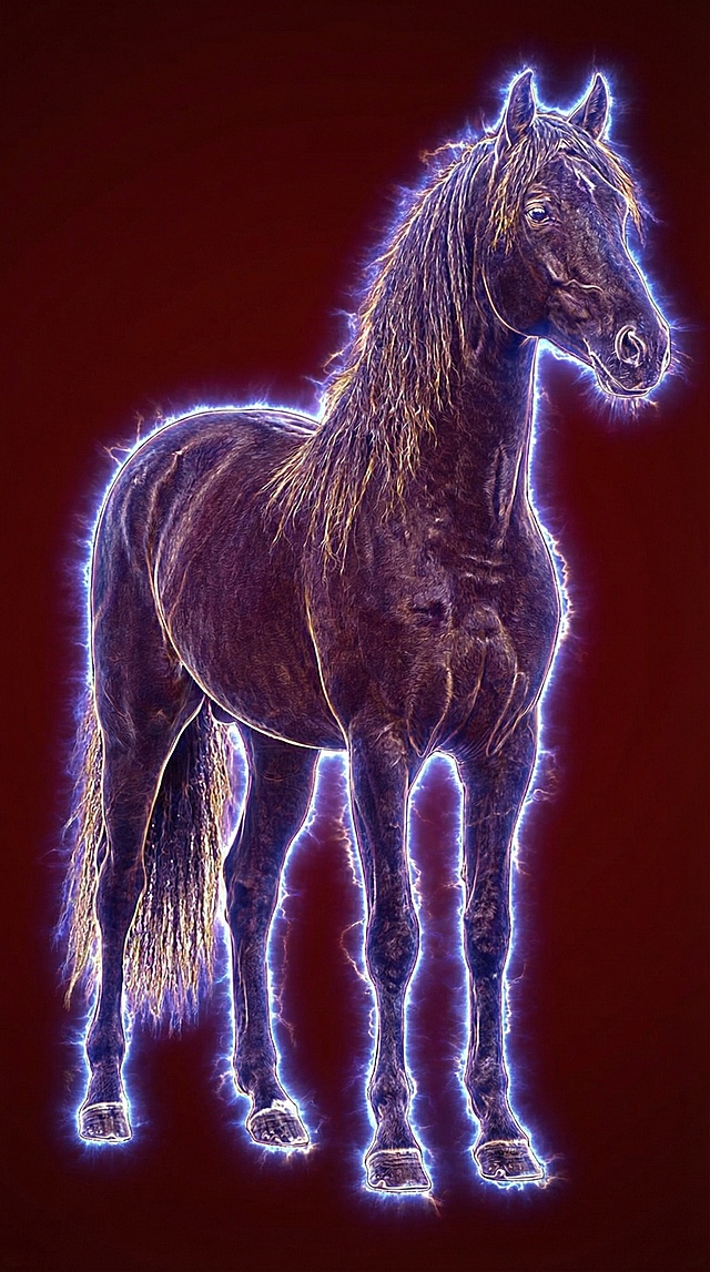 霓虹灯风与描边风结合，电光环绕的黑马在暗红背景下呈现神秘科技感，光影流动中透出梦幻与酷炫的虚拟自然之美。