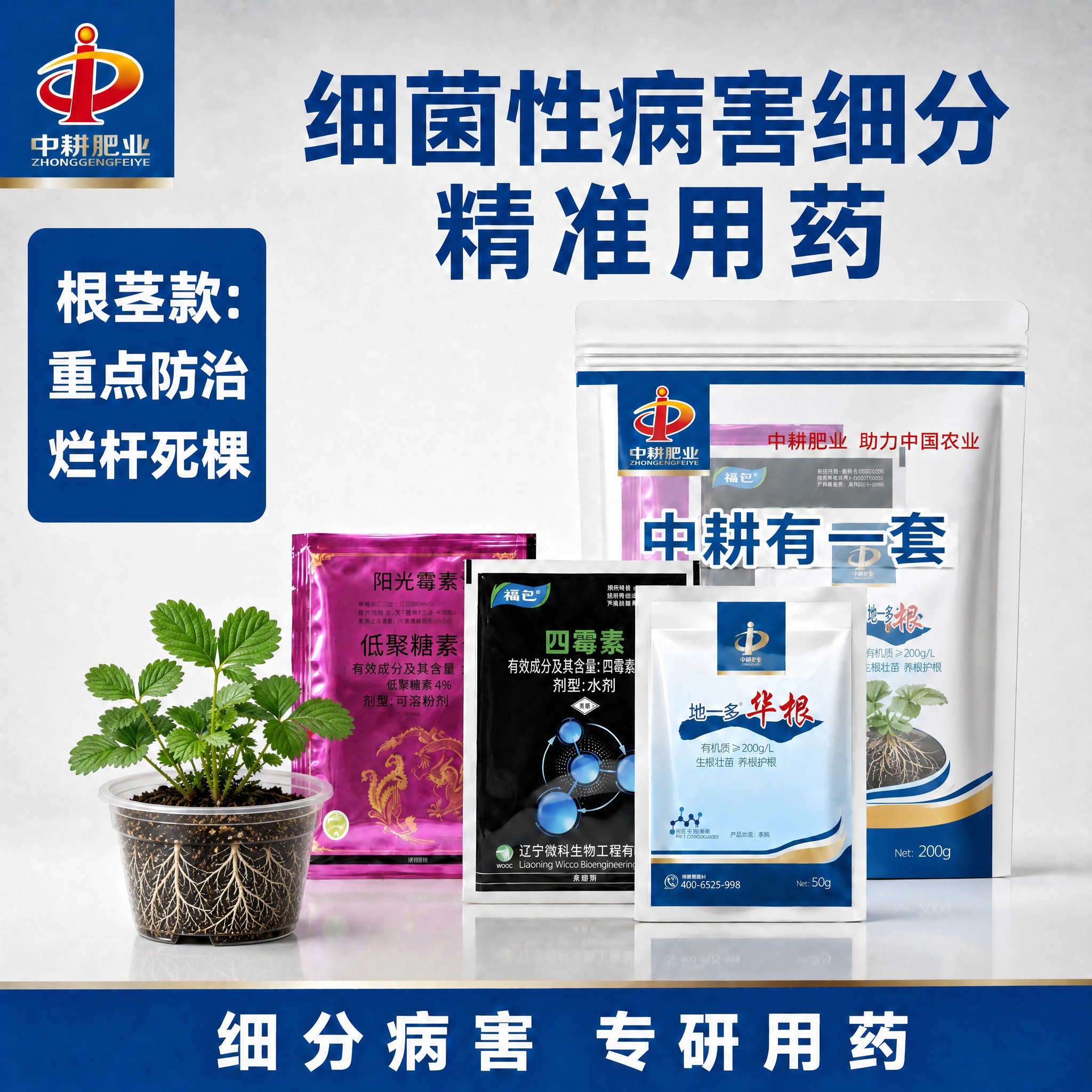 将左侧深蓝色圆角标签块"根茎款：重点防治烂杆死棵"整体向上移动… - 图片创意预览