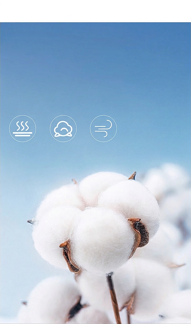 完全去除图中所有的文字内容，保留原有的棉花和浅蓝色背景，保持其他内容不变